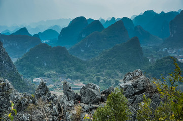 米·伊林的《十万个为什么》