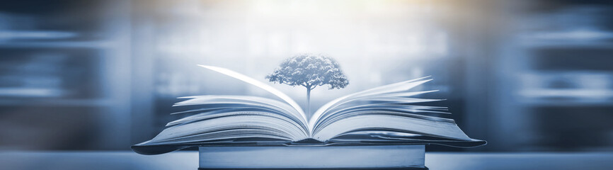 外地车进入兰州限不限号