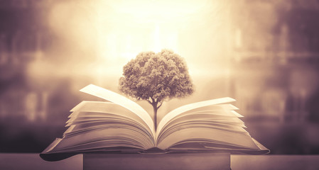 简单小众的女生英文名有哪些？