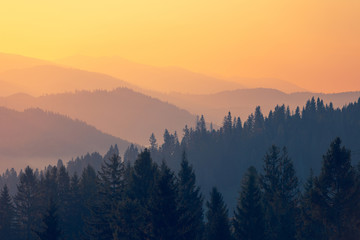 米·伊林的《十万个为什么》