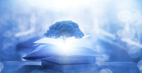 中国篮球有哪些比较少人知道的小知识？