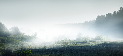 简单小众的女生英文名有哪些？
