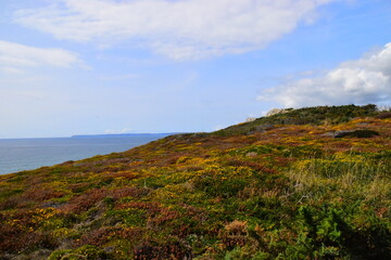 米·伊林的《十万个为什么》