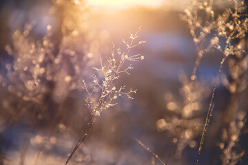 简单小众的女生英文名有哪些？