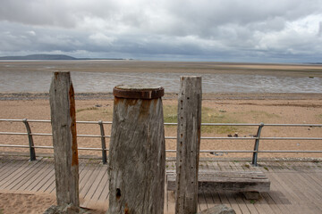 生物冷知识高中