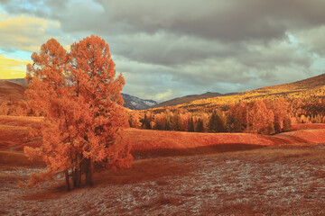 三菱最耐用三个车