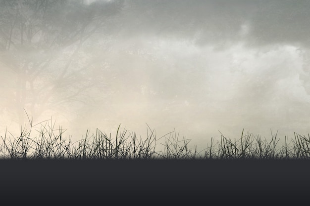 中国篮球有哪些比较少人知道的小知识？