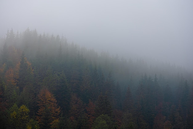 生物冷知识高中