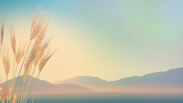 米·伊林的《十万个为什么》