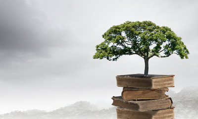 西安和咸阳限行只罚一次吗